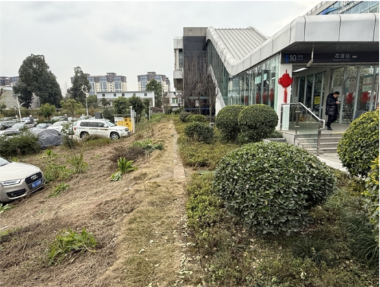 城乡“边角料”变身“幸福场”:新津区闲置地整治绘就“净优亮美”新图景906
