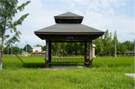 城乡“边角料”变身“幸福场”:新津区闲置地整治绘就“净优亮美”新图景672