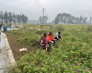 城乡“边角料”变身“幸福场”:新津区闲置地整治绘就“净优亮美”新图景664