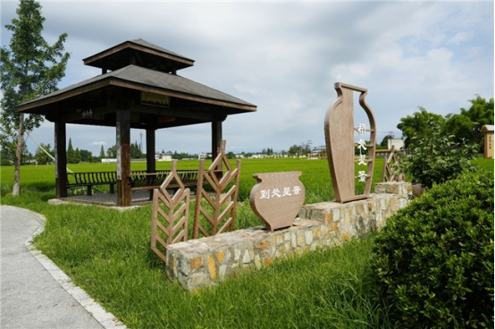 城乡“边角料”变身“幸福场”:新津区闲置地整治绘就“净优亮美”新图景670