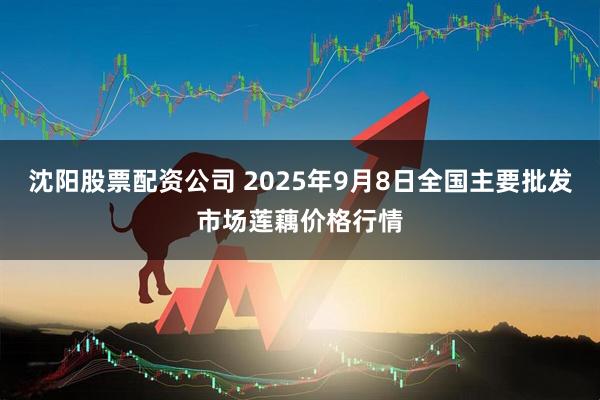 沈阳股票配资公司 2025年9月8日全国主要批发市场莲藕价格行情