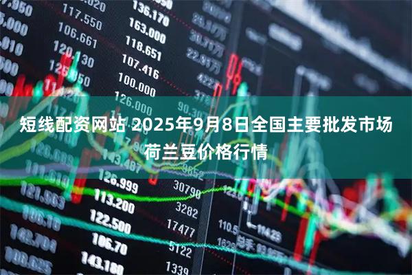 短线配资网站 2025年9月8日全国主要批发市场荷兰豆价格行情