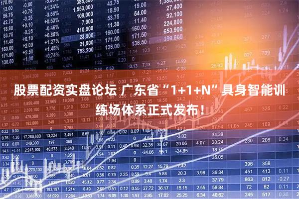 股票配资实盘论坛 广东省“1+1+N”具身智能训练场体系正式发布！
