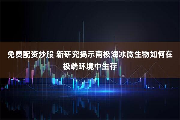 免费配资炒股 新研究揭示南极海冰微生物如何在极端环境中生存